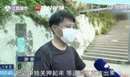 吃瓜网红猝死,揭秘网络红人背后的健康危机